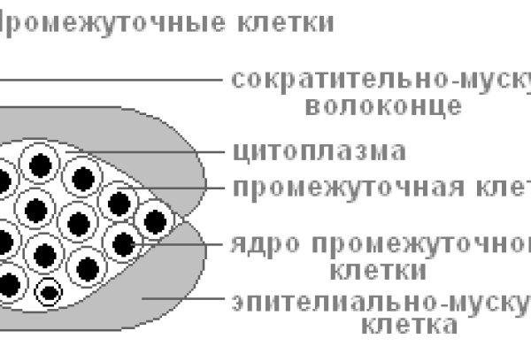 Kraken сайт kraken clear com