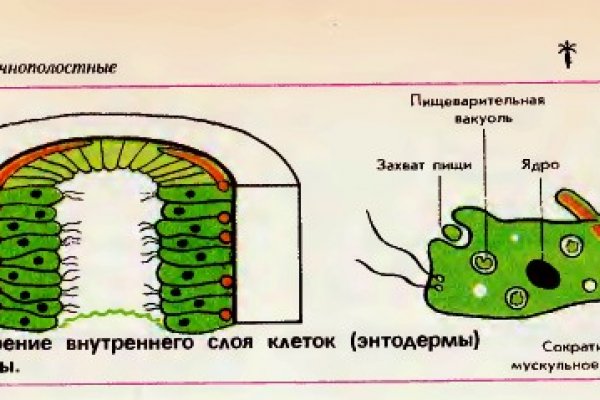 Взломали аккаунт кракен