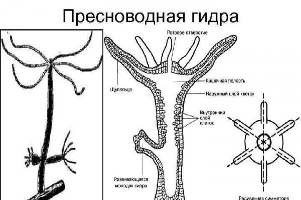 Кракен сайт 13at