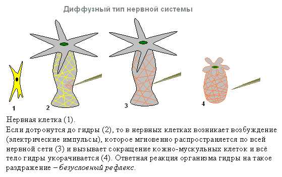 Впн для кракена